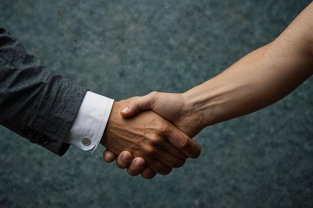 plateformes de mise en relation