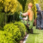 jardinage presjob